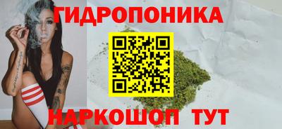 сатива Пугачёв