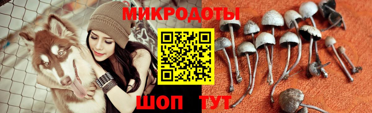 Псилоцибиновые грибы GOLDEN TEACHER  Вход с VPN  Саяногорск 